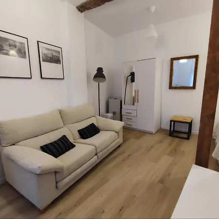 Acogedor Estudio En El Centro 公寓 *
